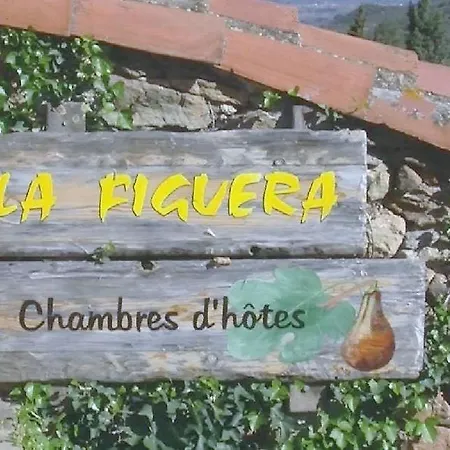 Bed & Breakfast La Figuera